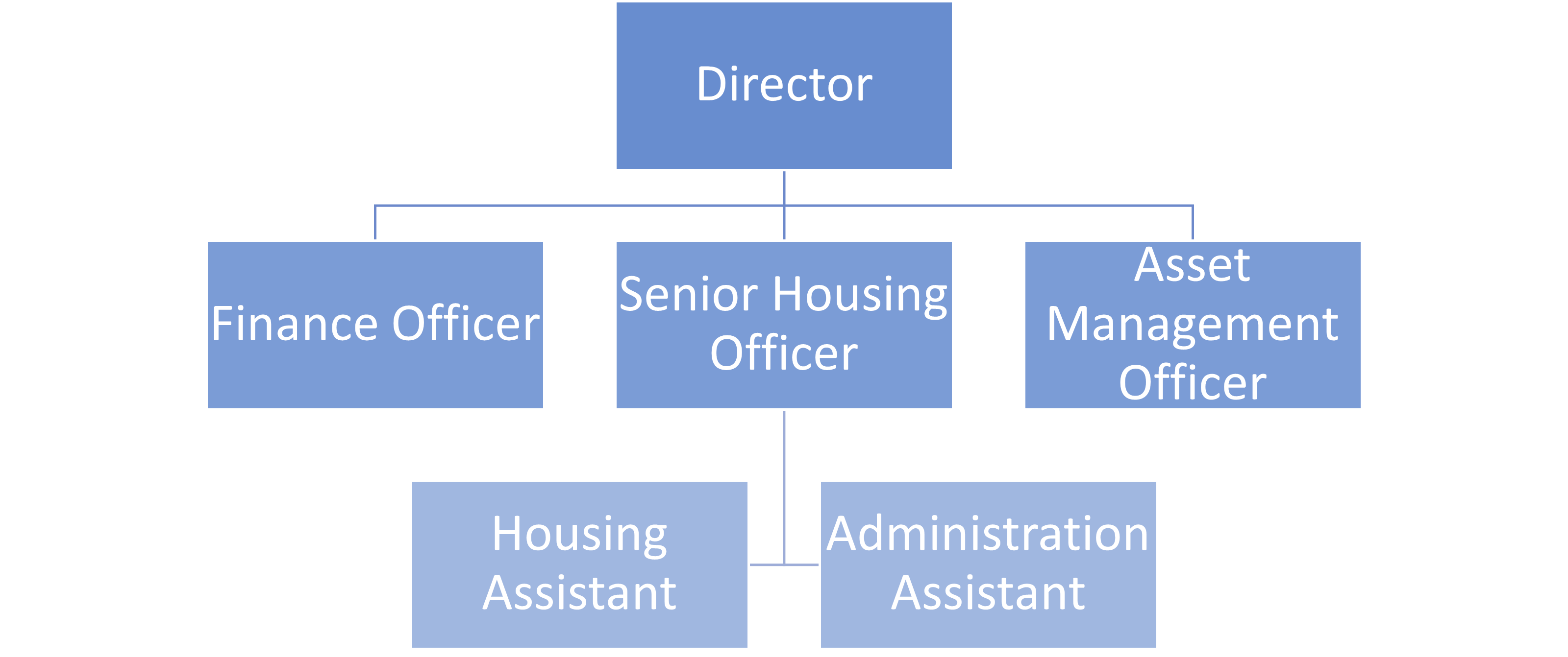 Organisational Structure 2024